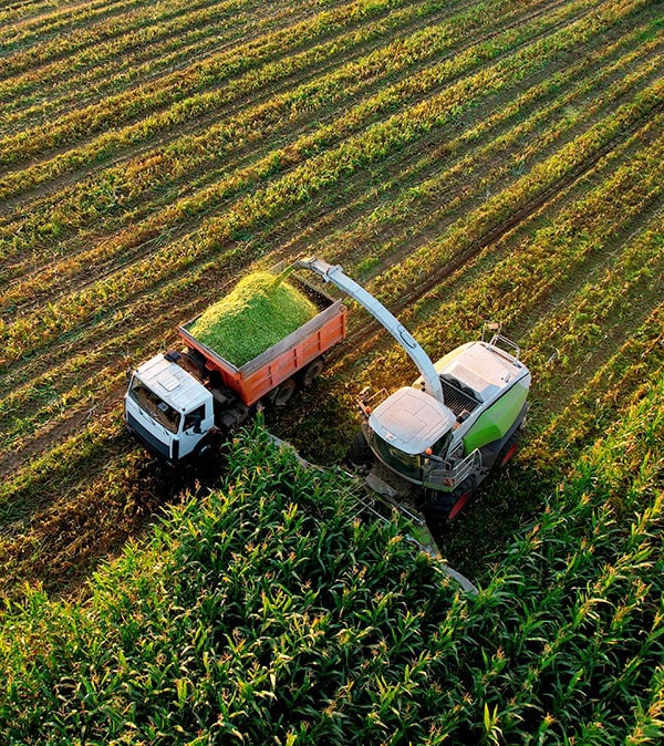 Smart farming tools and capacity development programs